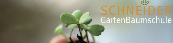 Jörg Schneider - Gartenbaumschule Schneider Jörg Schneider - Gartenbaumschule Schneider cover image